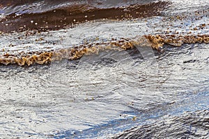 Very disgusting beach water with red seaweed sargazo Carribean Mexico