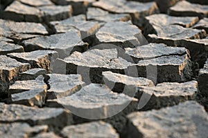 The very dry cracked earth gray