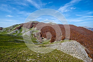 Forca d`Acero, Abruzzo National Park, Italy photo