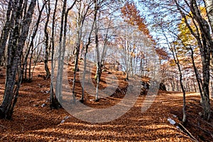 Forca d`Acero, Abruzzo National Park, Italy photo