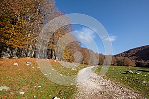 Forca d`Acero, Abruzzo National Park, Italy photo