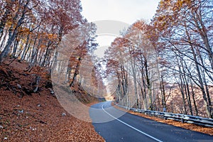 Forca d`Acero, Abruzzo National Park, Italy photo