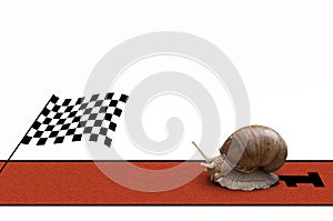 Very fast snail