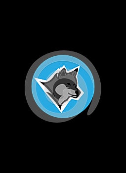 very fierce wolf vector design