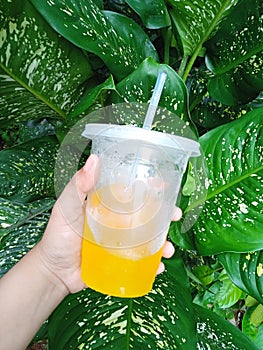 very fresh cold orange juice