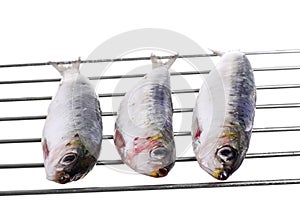 Very fresh sardines on a grill isolated