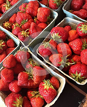 Very Fresh Strawberries