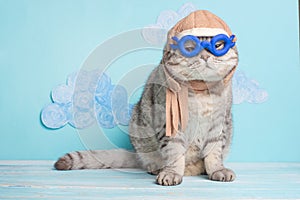 Very funny cat pilot of an airplane with glasses and a pilot`s hat, against a background of clouds. A concept of funny and funny