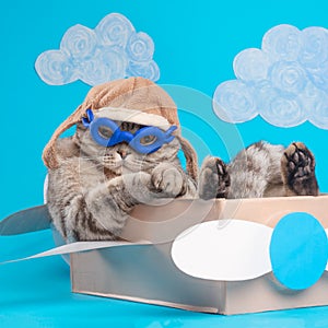 Very funny cat pilot of an airplane with glasses and a pilot`s hat sitting on a plane, against the background of clouds. Concept
