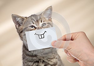 Funny cat with smile on cardboard photo
