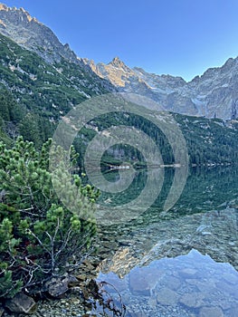 A very green reflection on Morskie Oko in the Polish High Tatras