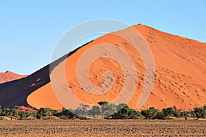 Namib Desert Dune