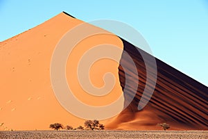 Namib Desert Dune at Sossusvlei