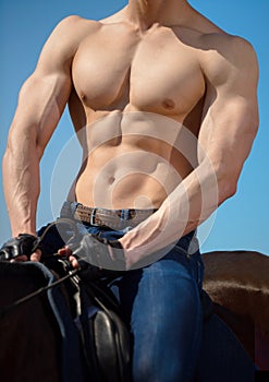 Very hot muscular torso of a male cowboy rider on horseback.
