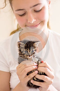 Very little tabby kitten in girl`s hands