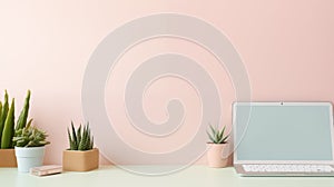 Very minimalistic view of a workplace with a laptop and cacti in pots