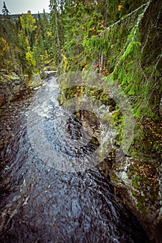 A very narrow mountain stream in the canyon, trees in autumn colors