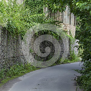 Very narrow rural street in the village of Stary Petrovtsi, Kiev region, Ukraine photo