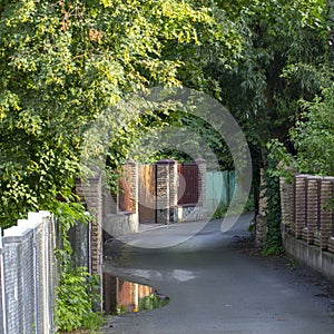 Very narrow rural street in the village of Stary Petrovtsi, Kiev region, Ukraine photo