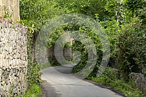 Very narrow rural street in the village of Stary Petrovtsi, Kiev region, Ukraine photo