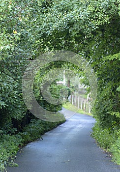 Very narrow rural street in the village of Stary Petrovtsi, Kiev region, Ukraine photo