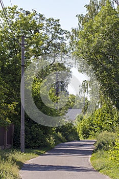 Very narrow rural street in the village of Stary Petrovtsi, Kiev region, Ukraine photo