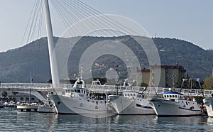 very nice view of la spezia harbour