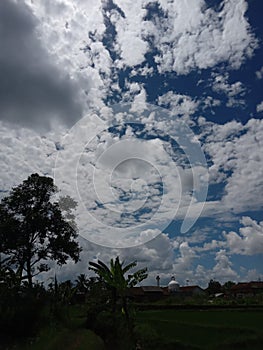 very nice view of the skyy