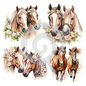 Very nice watercolour painting of two horses. Set of illustrations isolated on white background.