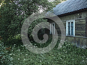 Very old authentic peasant wooden house with green garden, a traditional of house in the villages of Russia