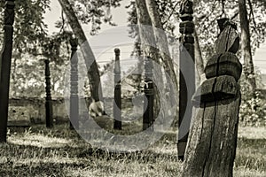 Very old cemetery with wooden headboars in Csernat, Transylvania