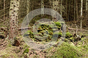 Very Old dry stone wall