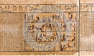 Egyptian hieroglyph`s character`s on papyrus photo
