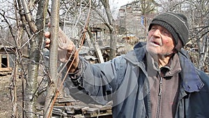 A very old man inspects garden trees in the spring before flowering removes extra branches preparing for the new season