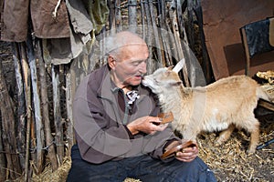 A very old man in messy clothes is sitting on a stool in the yard of an old farm and holding a white goat on his hands photo