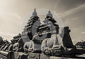 Very Old and Rare Ancient Pictures Of Shore temple is UNESCOs World Heritage Site located at Mamallapuram, Tamilnadu.