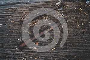 The very old rusty screws on the wood floor