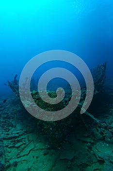 Very old ship wreck from 1800`s inside the reef verticle photo