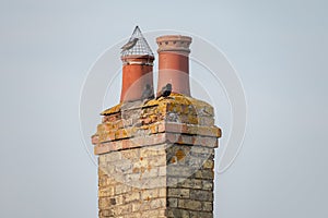 Very old twin chimney and pots seen atop a decaying and heavily weathered brick smokestack.