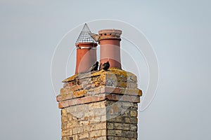 Very old twin chimney and pots seen atop a decaying and heavily weathered brick smokestack.