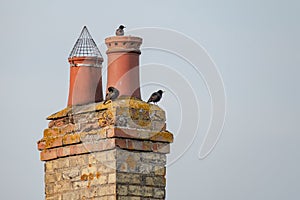 Very old twin chimney and pots seen atop a decaying and heavily weathered brick smokestack.