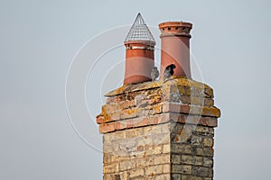 Very old twin chimney and pots seen atop a decaying and heavily weathered brick smokestack.