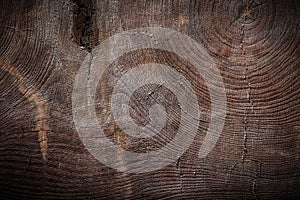 Very old vintage wood texture of cross section of tree trunk