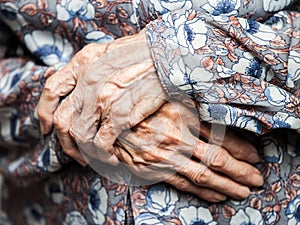 Very old woman hands photo