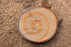 Very Old Wood Background