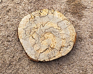 Very Old Wood Background