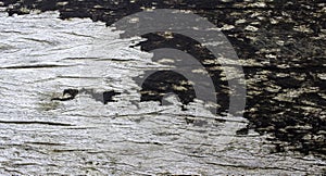 Very Old Wood Background