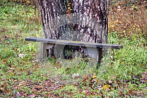 A very old wooden bench by a tree trunk. Autumn view