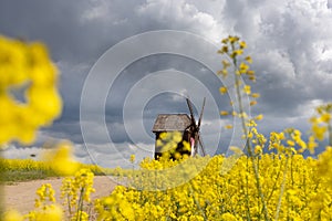 very old wooden windmill in rapseed field with dramatic storm clouds in background