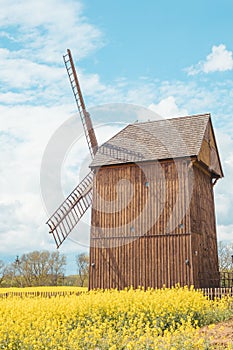 very old wooden windmill in rapseed field and sand road with clouds and blue sky in background